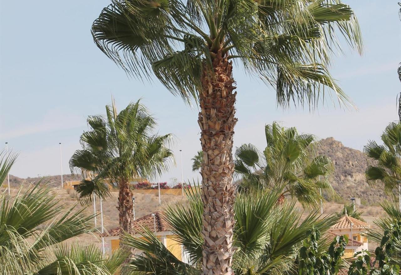 Villa Capricho Mazarron Exterior photo